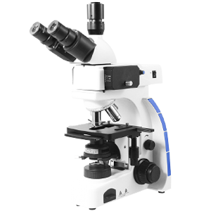 Fluorescence Microscope